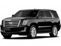 Удаление катализатора ESCALADE