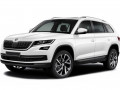 Замена катализатора на обманку KODIAQ