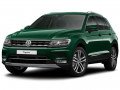 Удаление сажевого фильтра TIGUAN