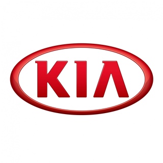 Удаление сажевого фильтра Kia